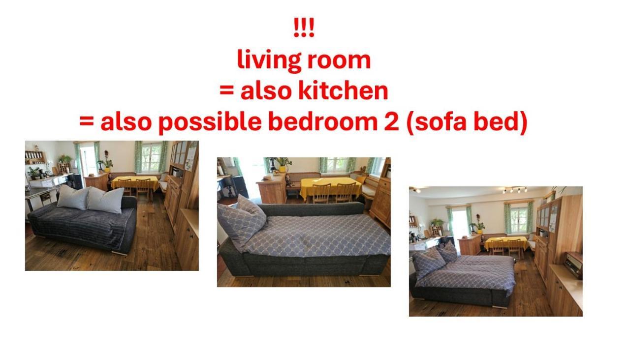 Premium Apartment Mit Privatem Whirlpool, Sauna, Garten Sankt Martin am Grimming Екстер'єр фото
