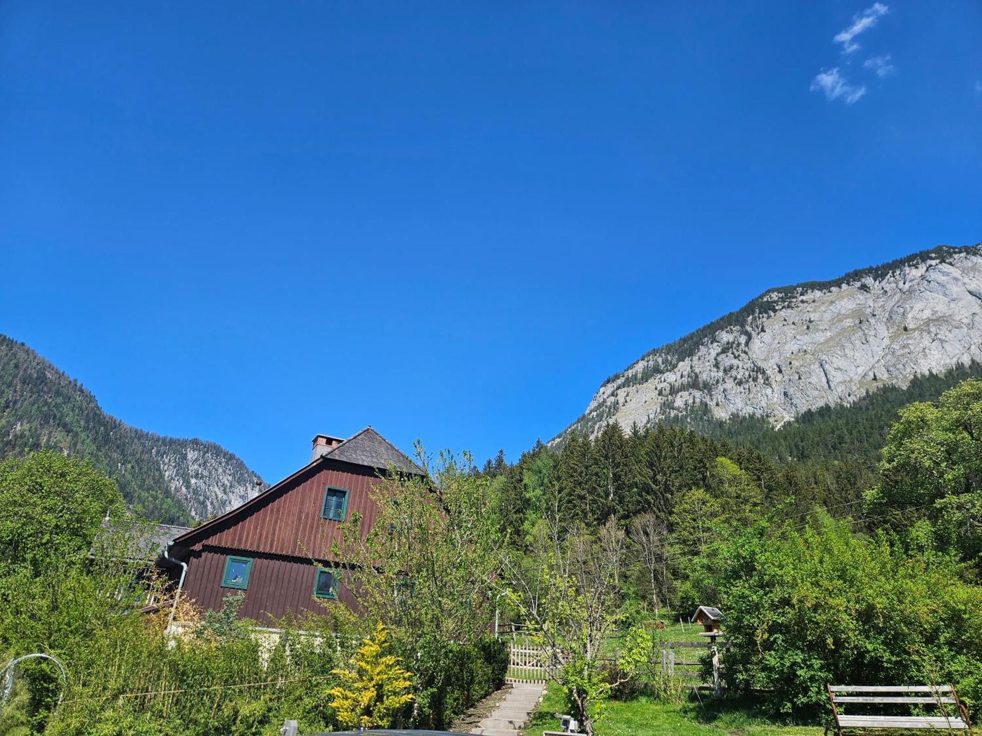 Premium Apartment Mit Privatem Whirlpool, Sauna, Garten Sankt Martin am Grimming Екстер'єр фото